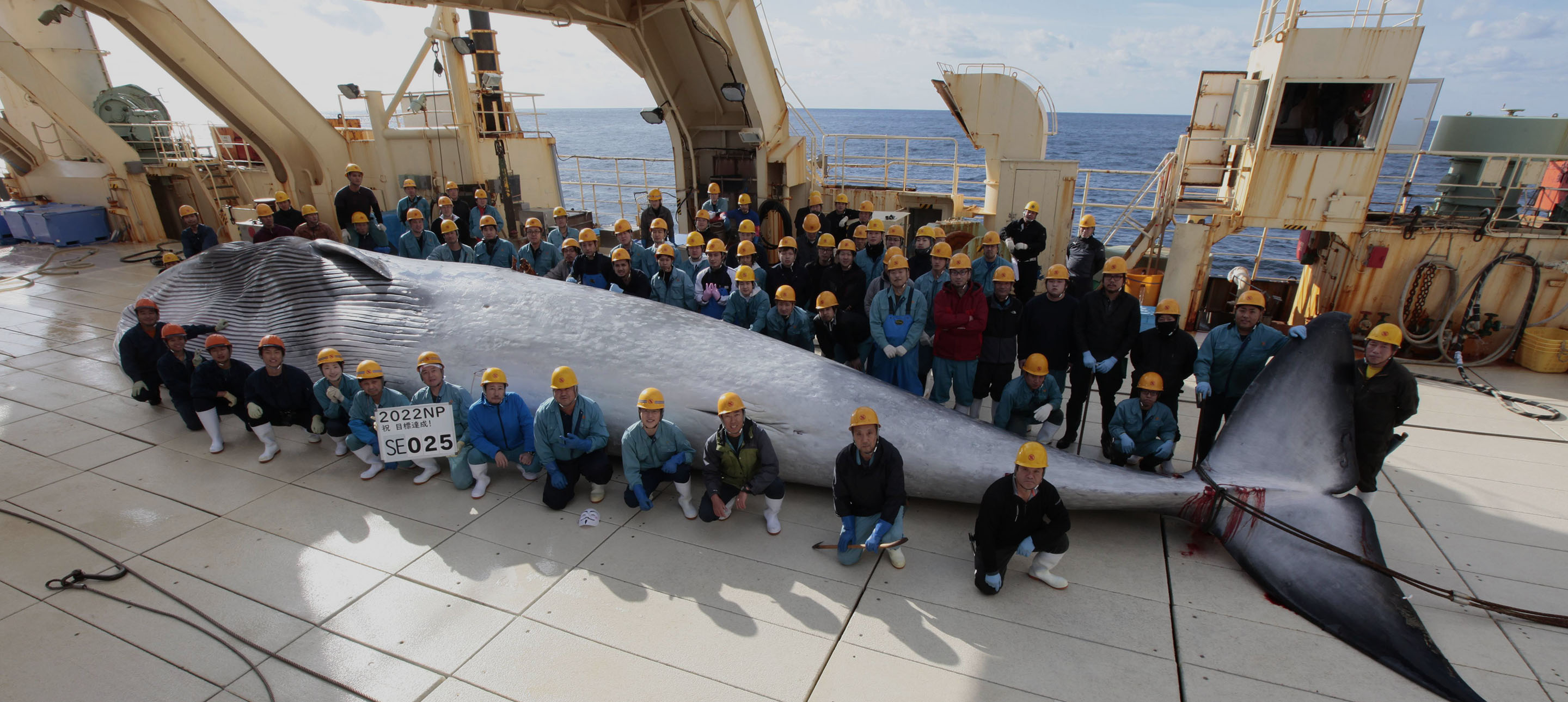 私たちと共に働く仲間を募集しています。