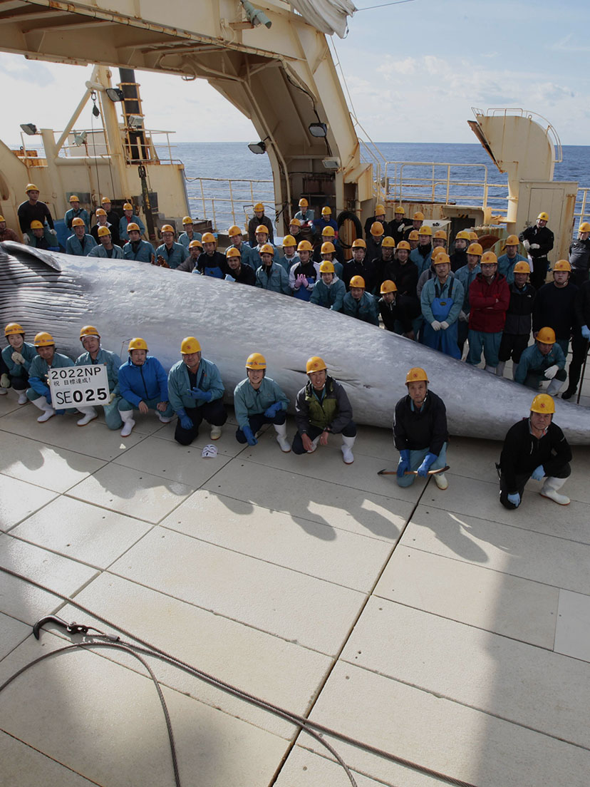 私たちと共に働く仲間を募集しています。