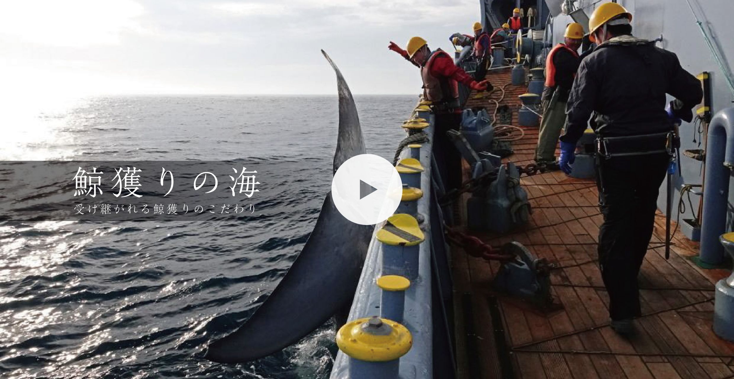鯨獲りの海
